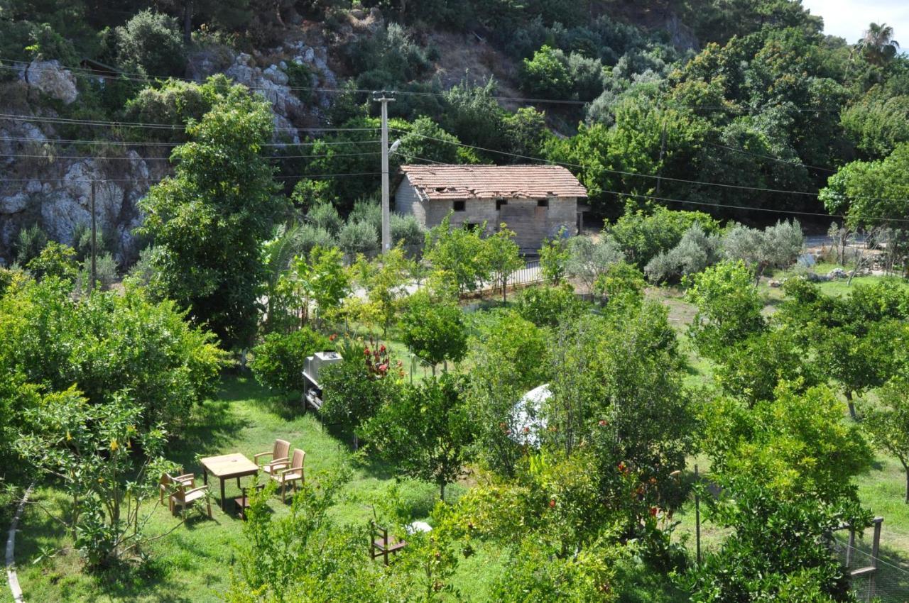 Hotel San Simon *