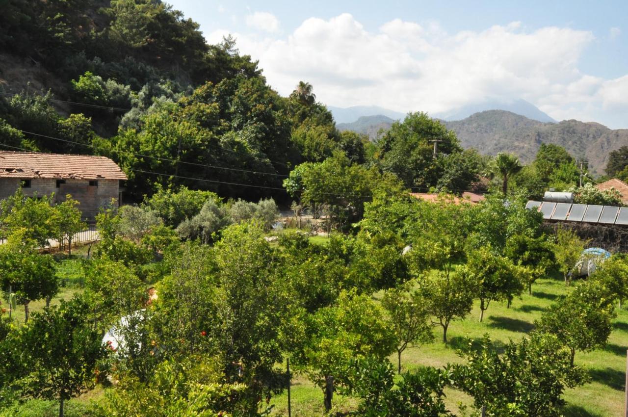 San Simon *