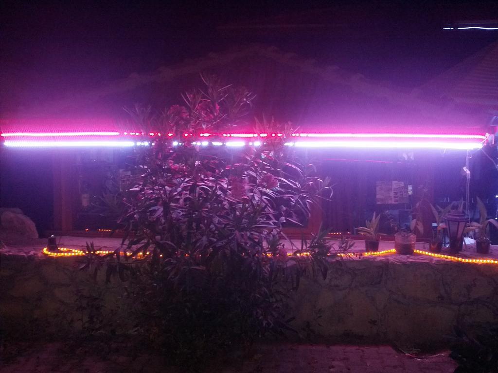 Star Park Resort Side