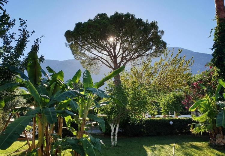 Hotel Gokcen Oludeniz