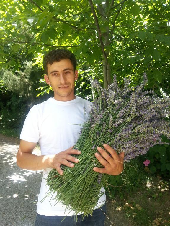 Nisanyan 3* Selcuk