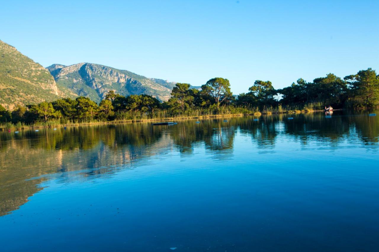 Pine & Luxury Concept Oludeniz