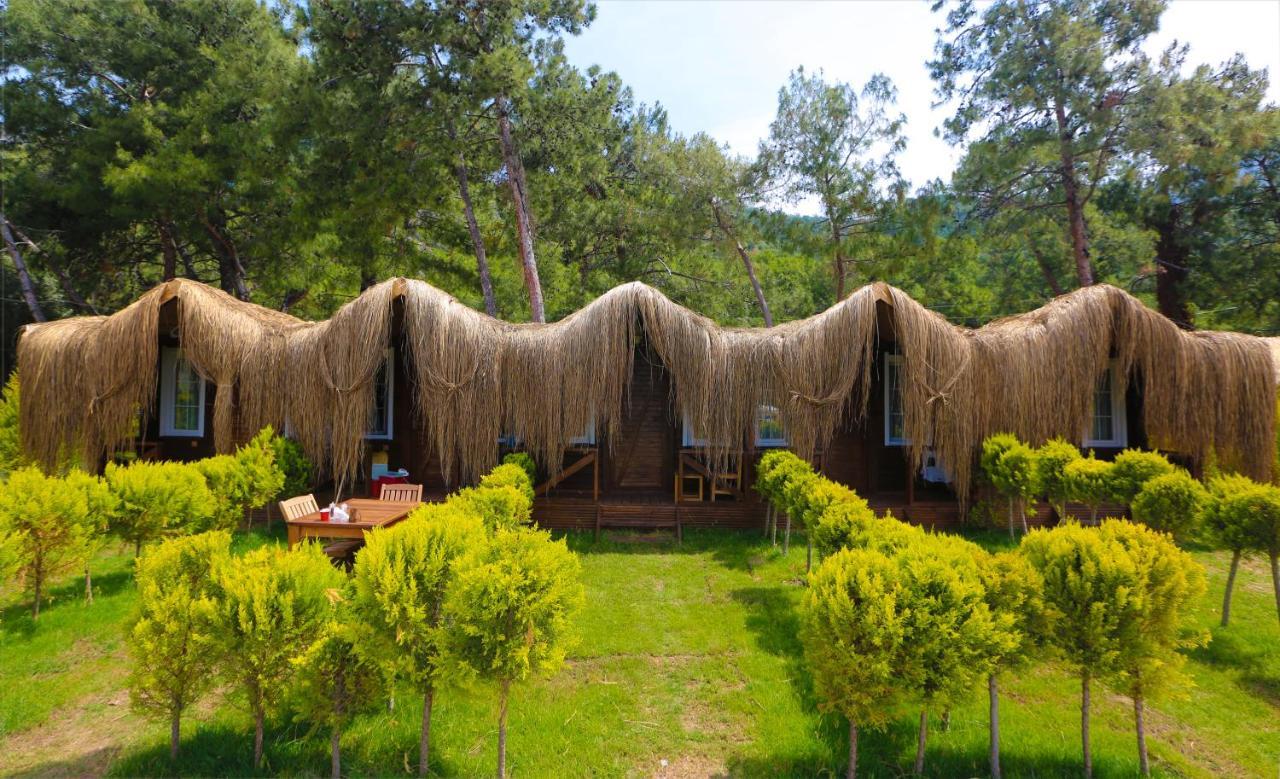 Pine & Luxury Concept Oludeniz
