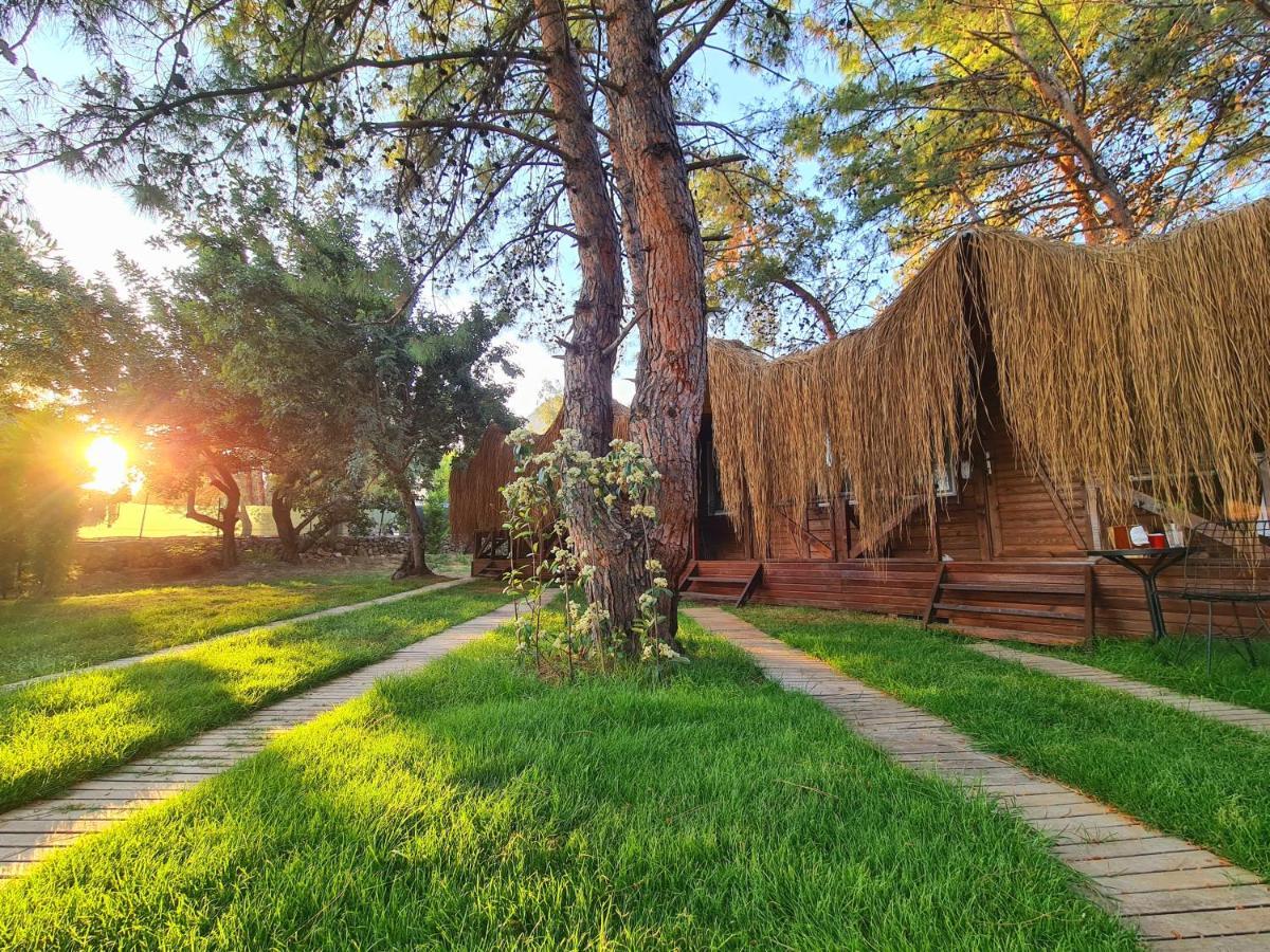 Pine & Luxury Concept Hotel Oludeniz