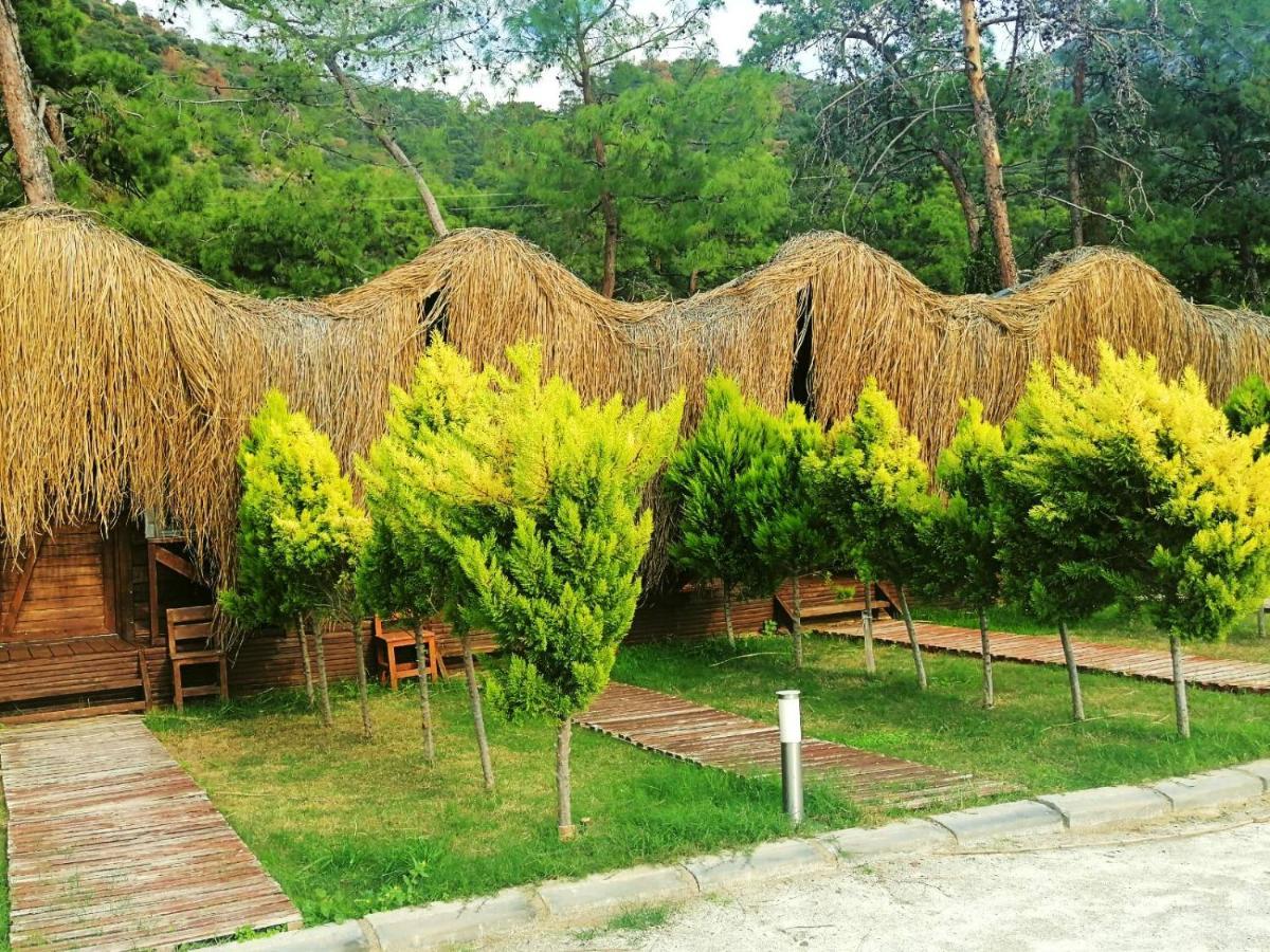 Hotel Pine & Luxury Concept Oludeniz