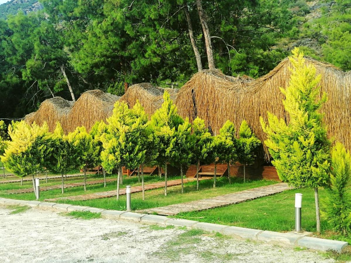 Hotel Pine & Luxury Concept *