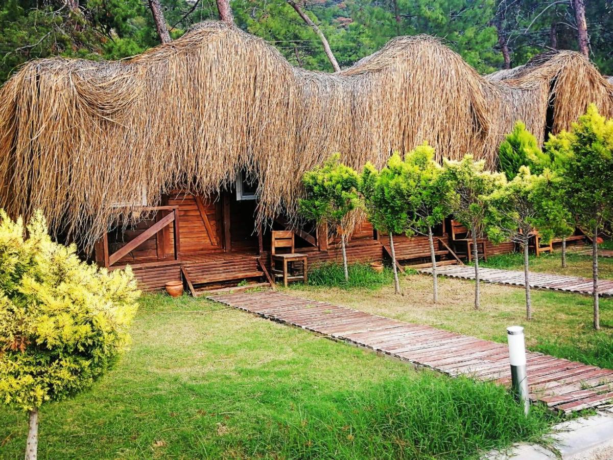 Hotel Pine & Luxury Concept Oludeniz