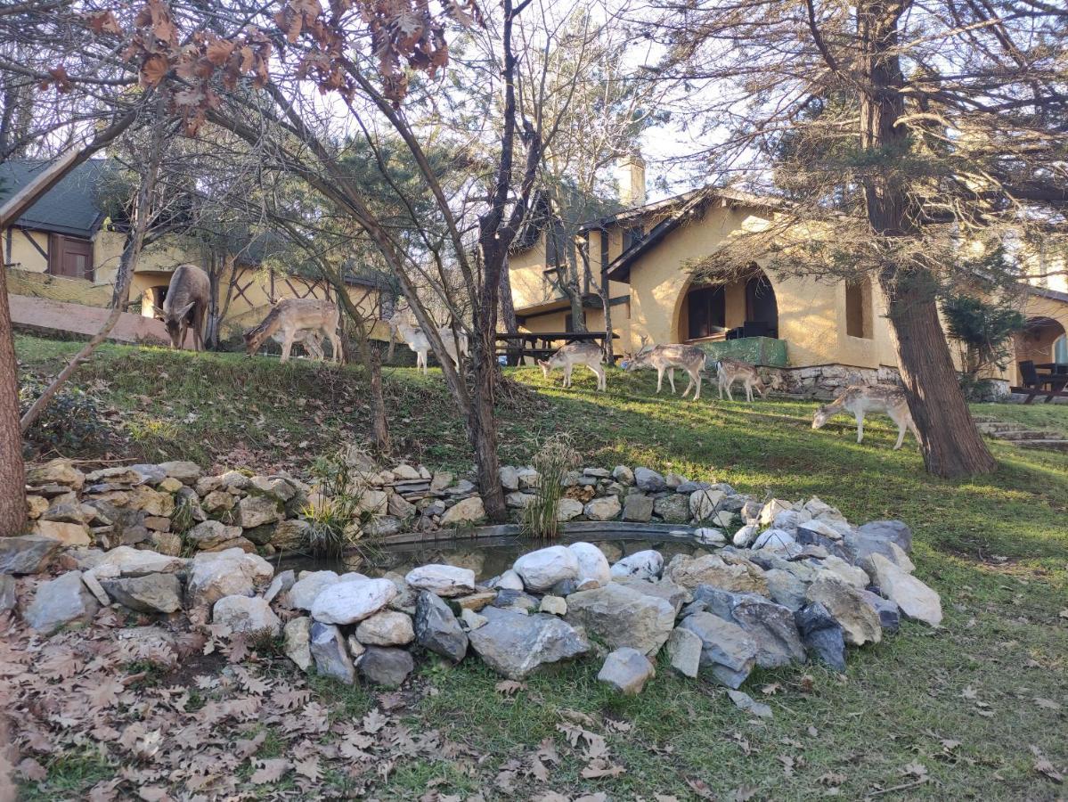 Polonezkoey Country Club & In The Wildlife Park! Resort 3*