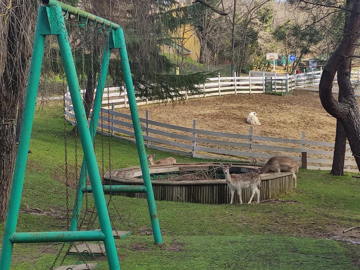 Resort Polonezkoey Country Club & In The Wildlife Park!