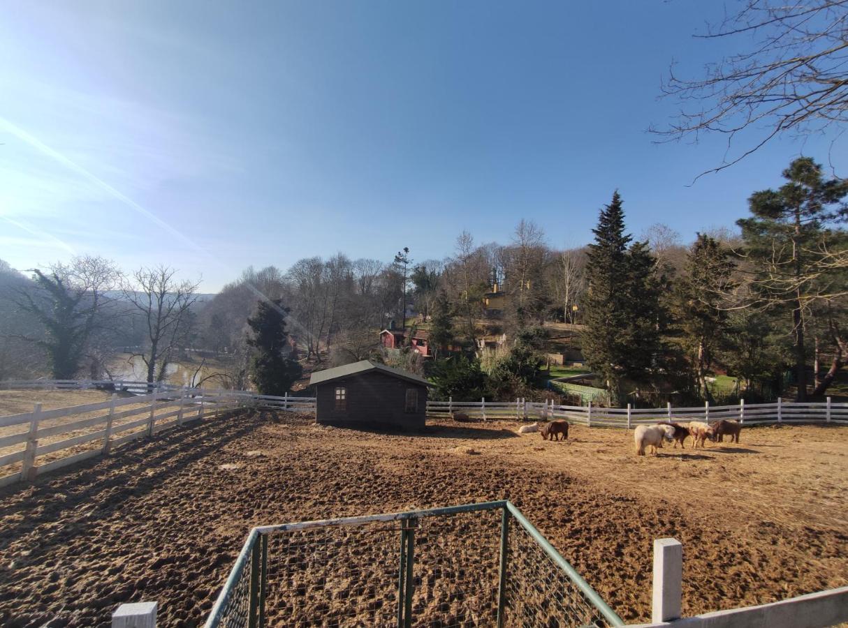 Resort Polonezkoey Country Club & In The Wildlife Park! 3*