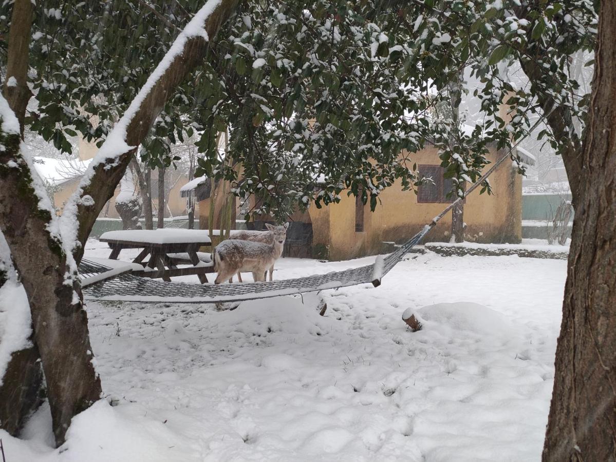 Polonezkoey Country Club & In The Wildlife Park! 3* Istanbul