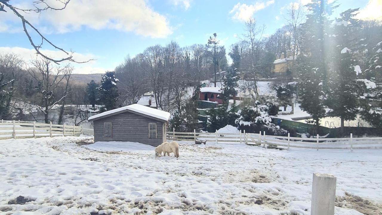 Polonezkoey Country Club & In The Wildlife Park! Istanbul