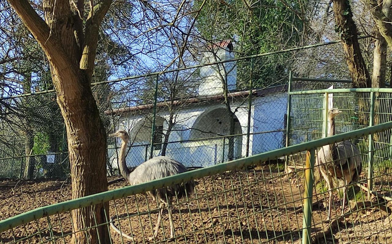 Polonezkoey Country Club & In The Wildlife Park! 3* Istanbul