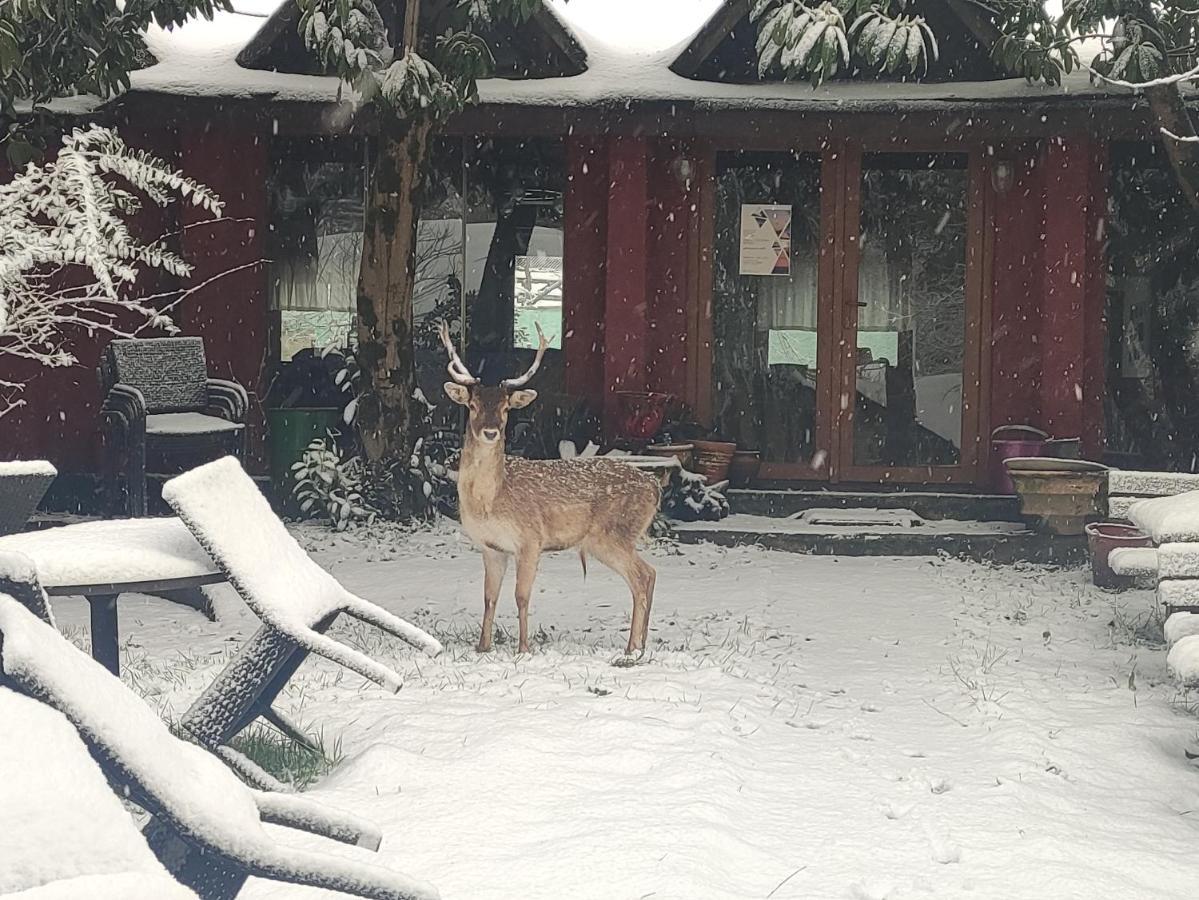 Resort Polonezkoey Country Club & In The Wildlife Park! Istanbul