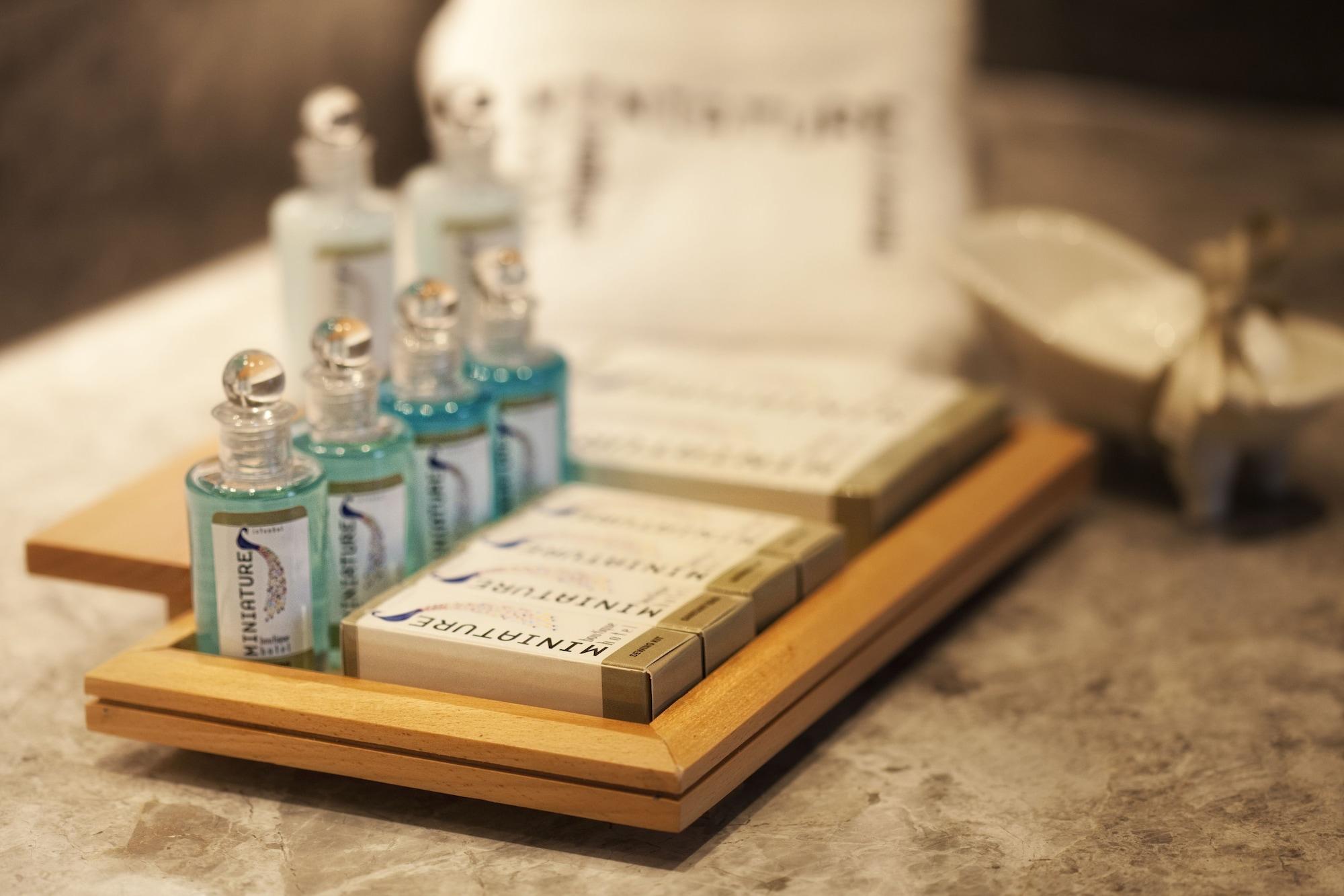 Hotel Miniature 3*