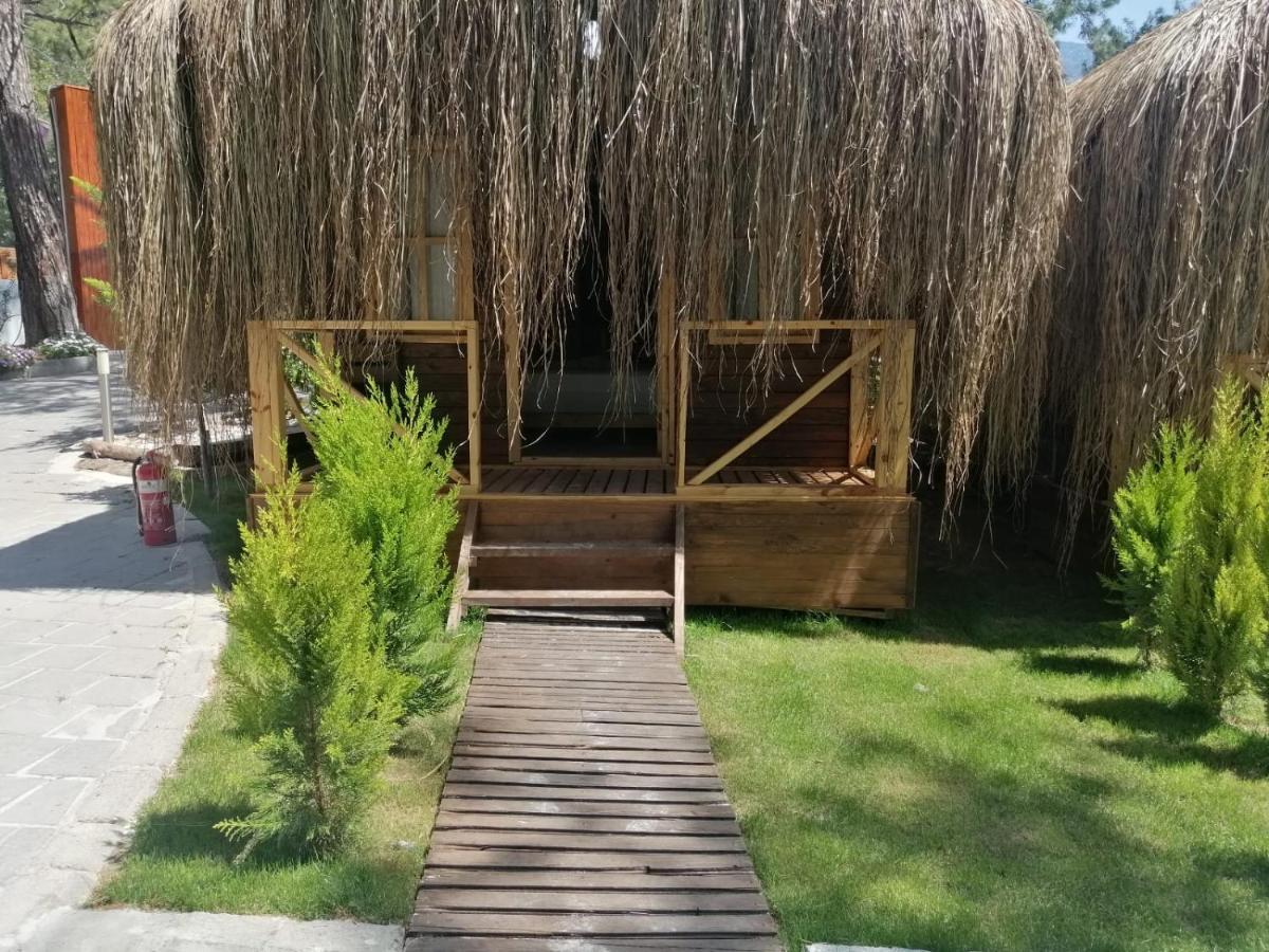 Pine & Luxury Concept Hotel *