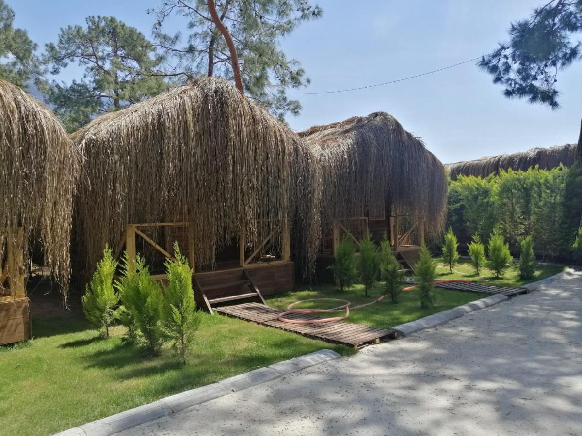 Pine & Luxury Concept Oludeniz