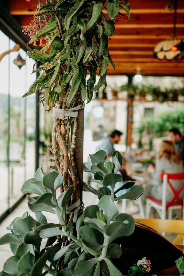 Eco Farm Boutique Farm stay Turgutreis