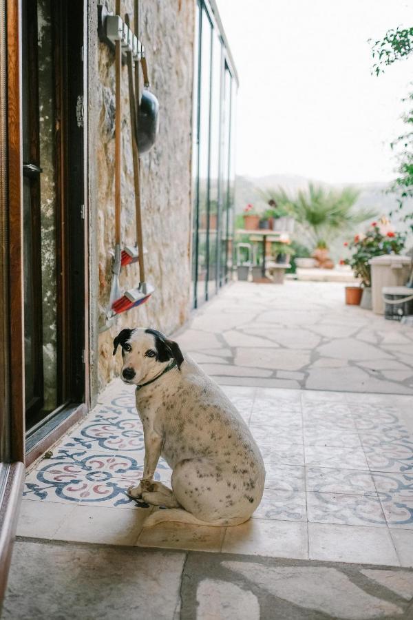 Eco Farm Boutique Farm stay Turgutreis