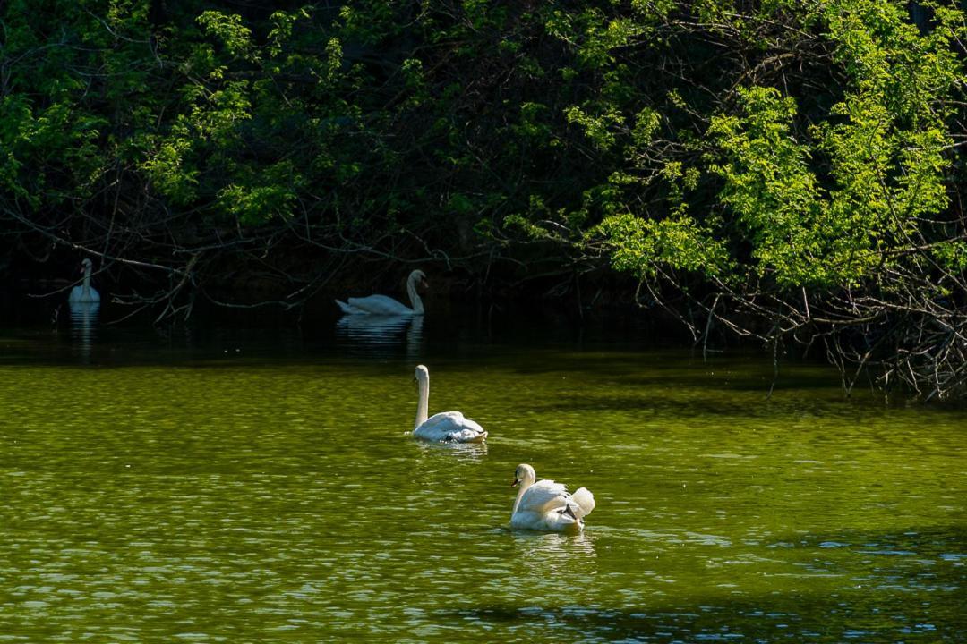 Polonezkoey Country Club & In The Wildlife Park! Resort