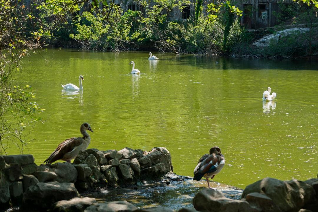 Polonezkoey Country Club & In The Wildlife Park! Resort