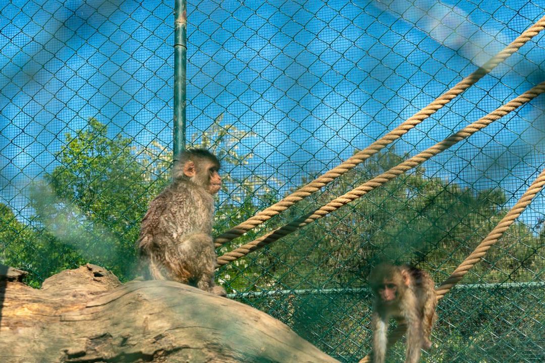 Polonezkoey Country Club & In The Wildlife Park! Istanbul