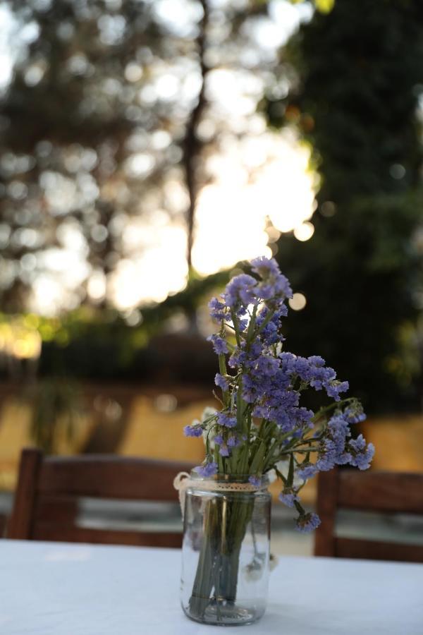 Inn Kayserkaya