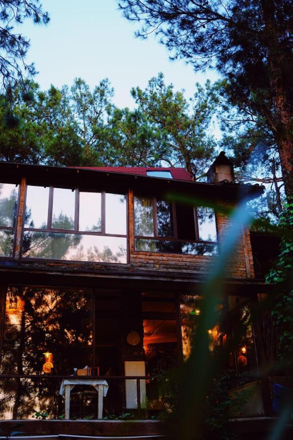 Kayserkaya Selcuk