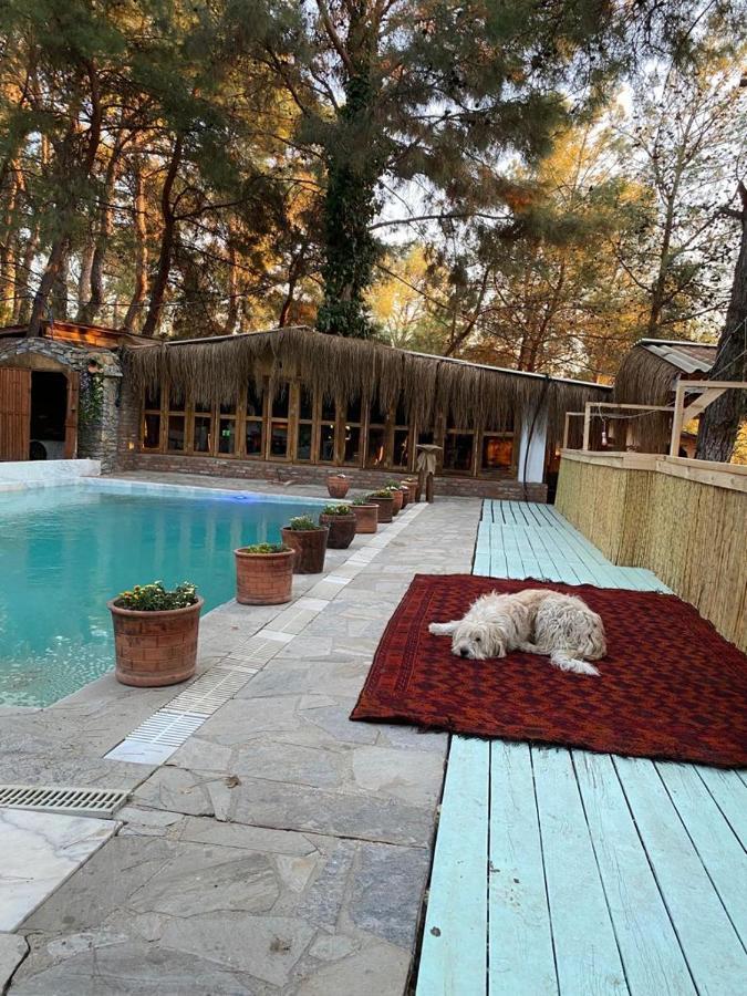 Kayserkaya Inn Selcuk