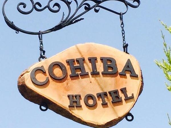 Cohiba Golturkbuku