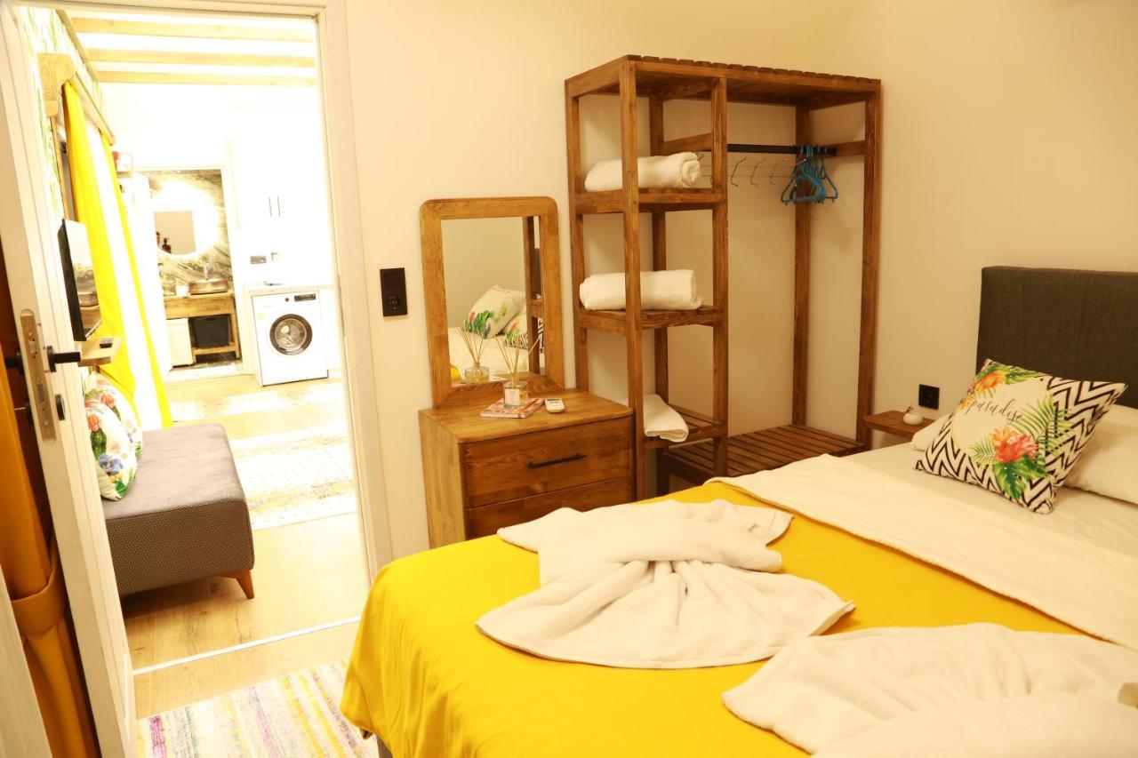 Tiny House Cactus Soeguet Holiday home *
