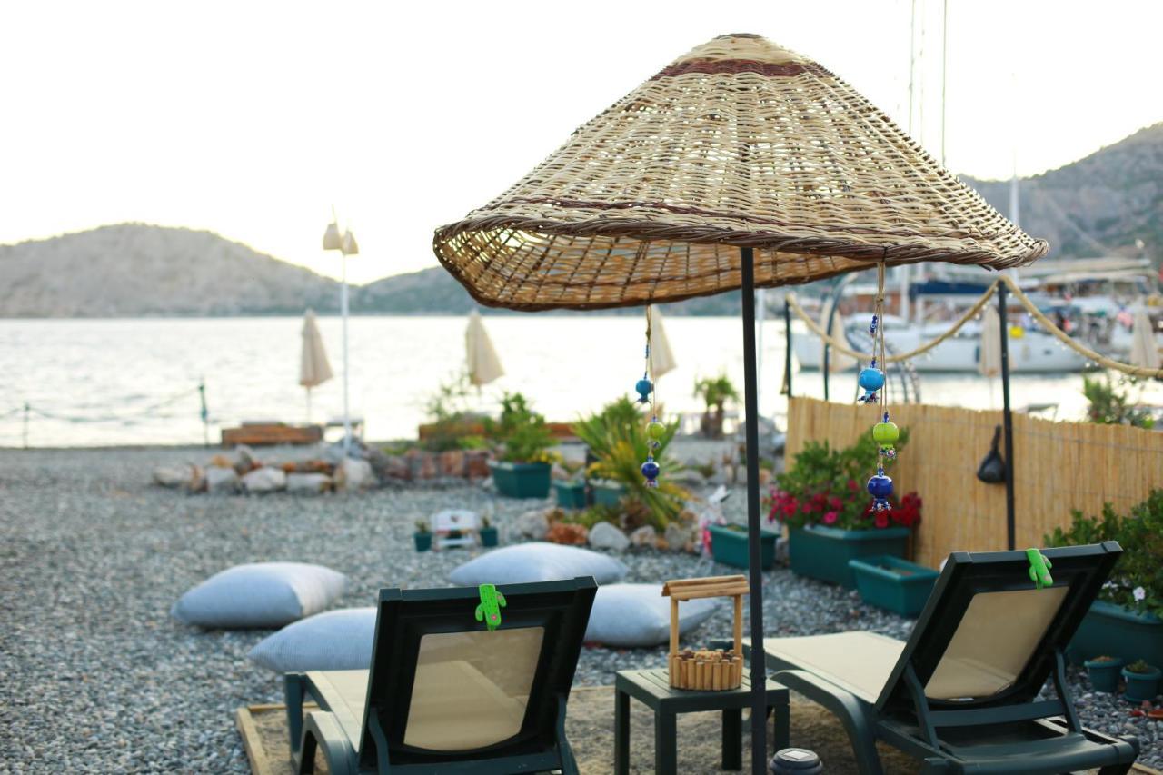 Tiny House Cactus Soeguet Holiday home Marmaris