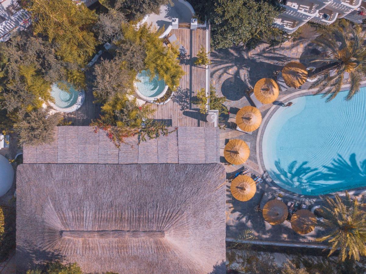 Hotel Flamingo & - Pet Friendly 3*