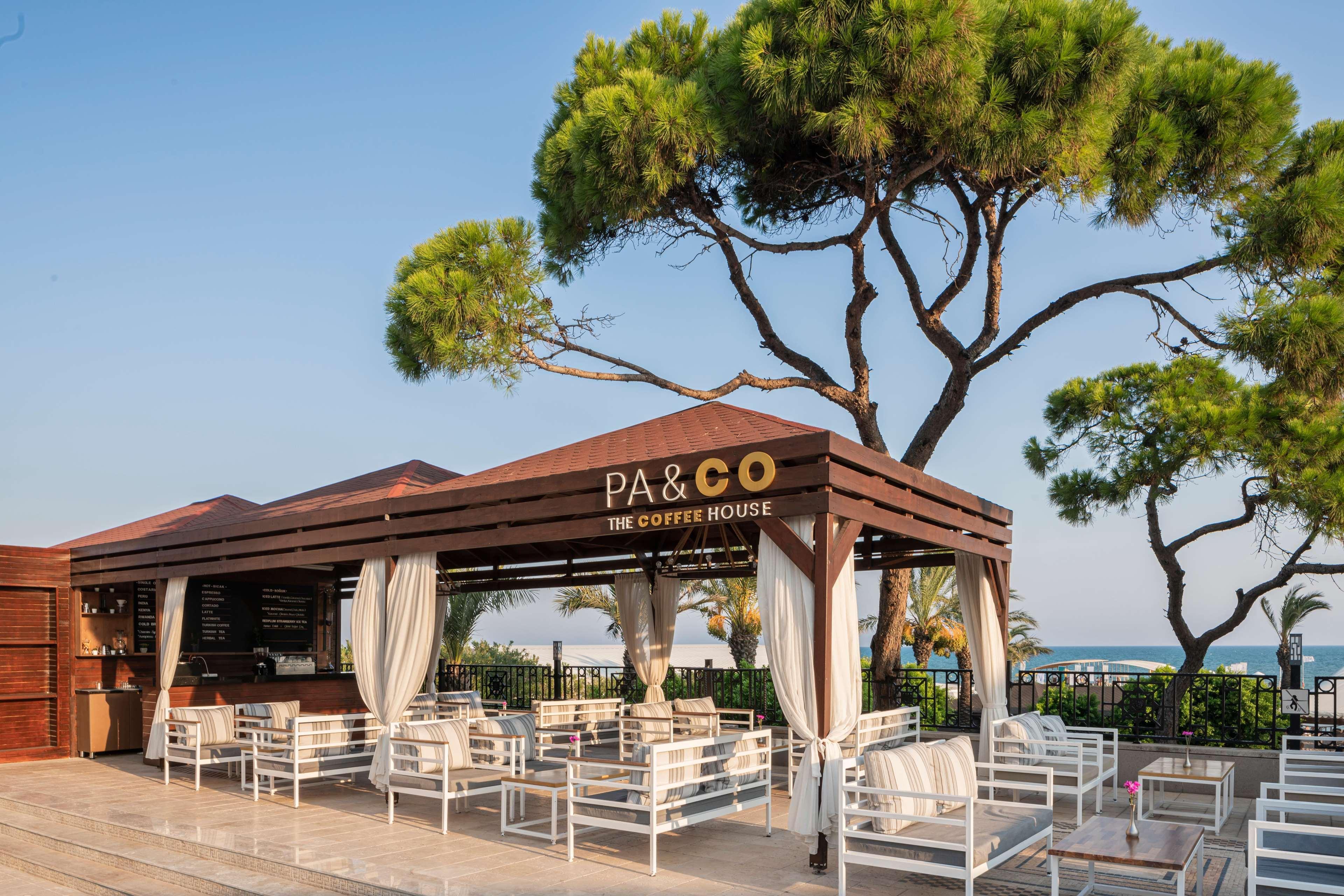 Papillon Ayscha & Belek