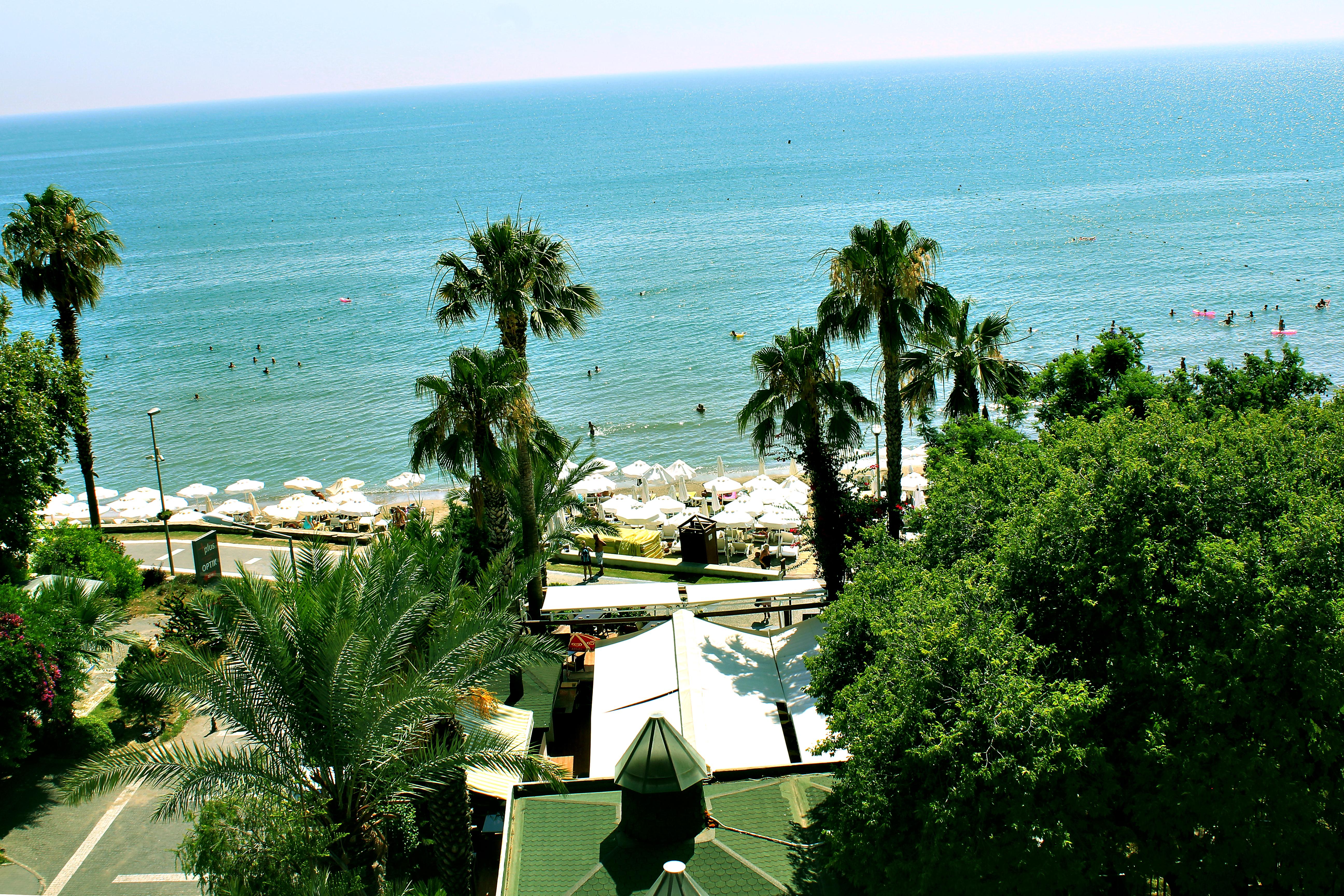 Sun 3*