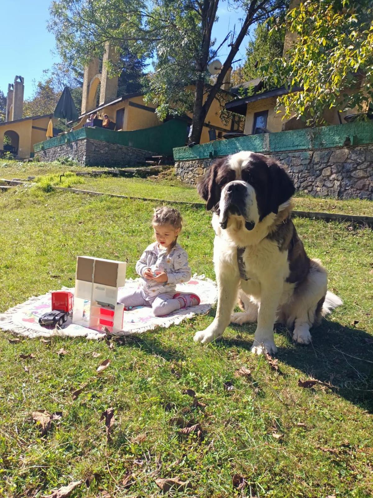 Polonezkoey Country Club & In The Wildlife Park! Resort 3*