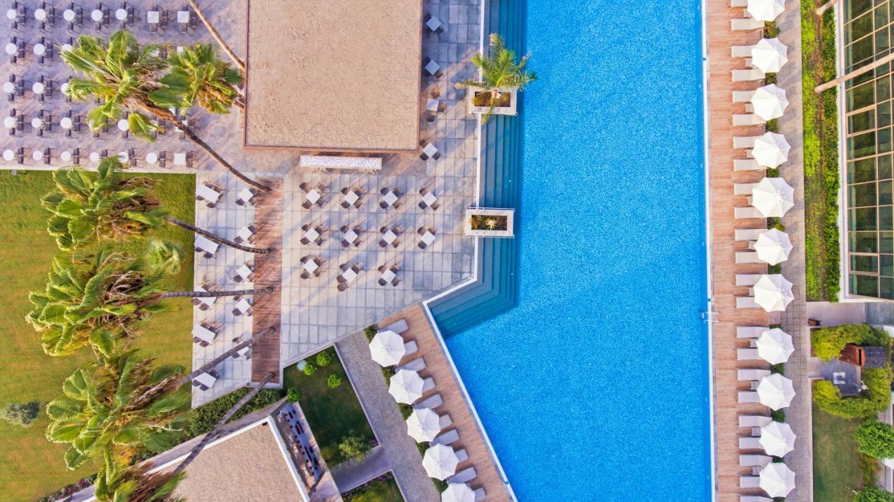 Acanthus Cennet Barut Collection