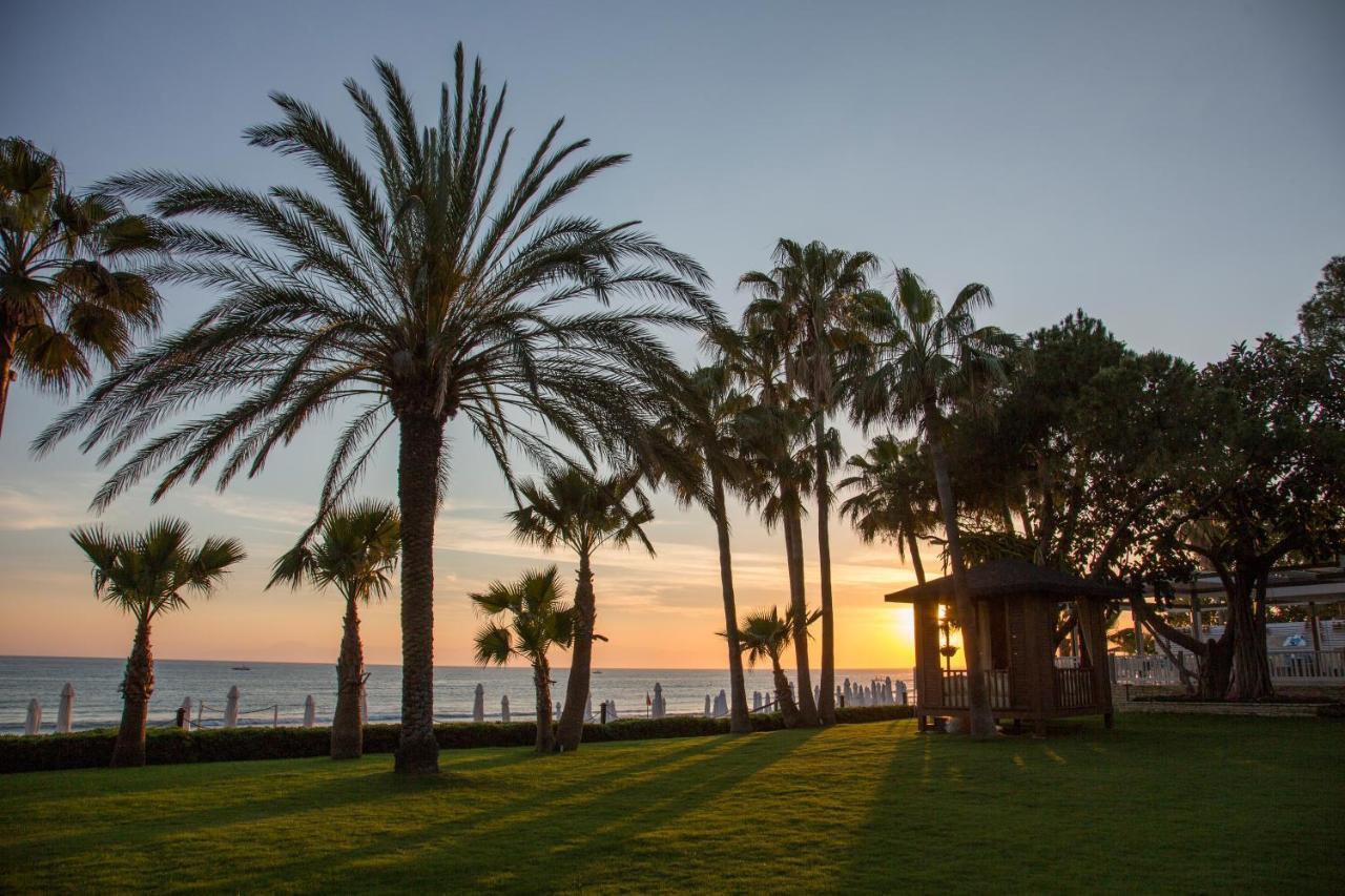 Acanthus Cennet Barut Collection 5*