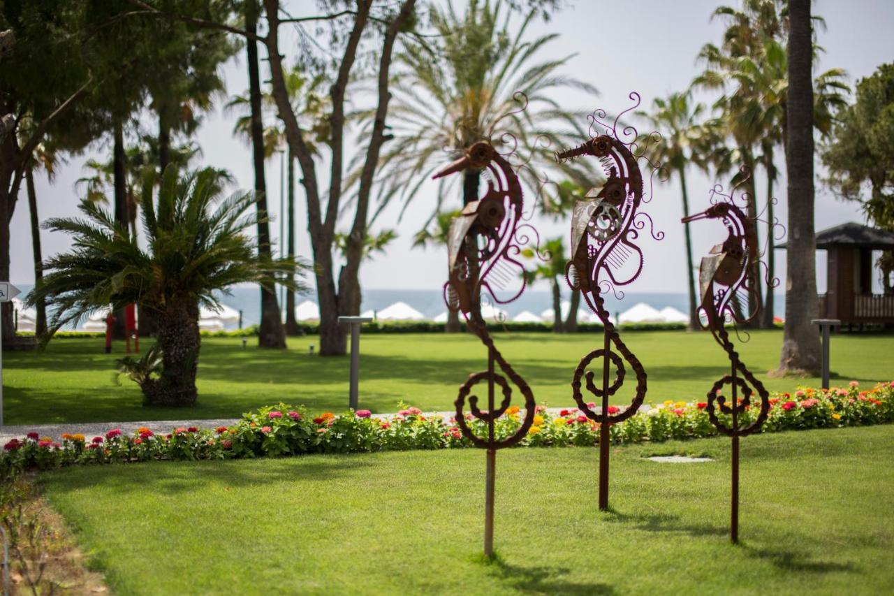 Acanthus Cennet Barut Collection 5*