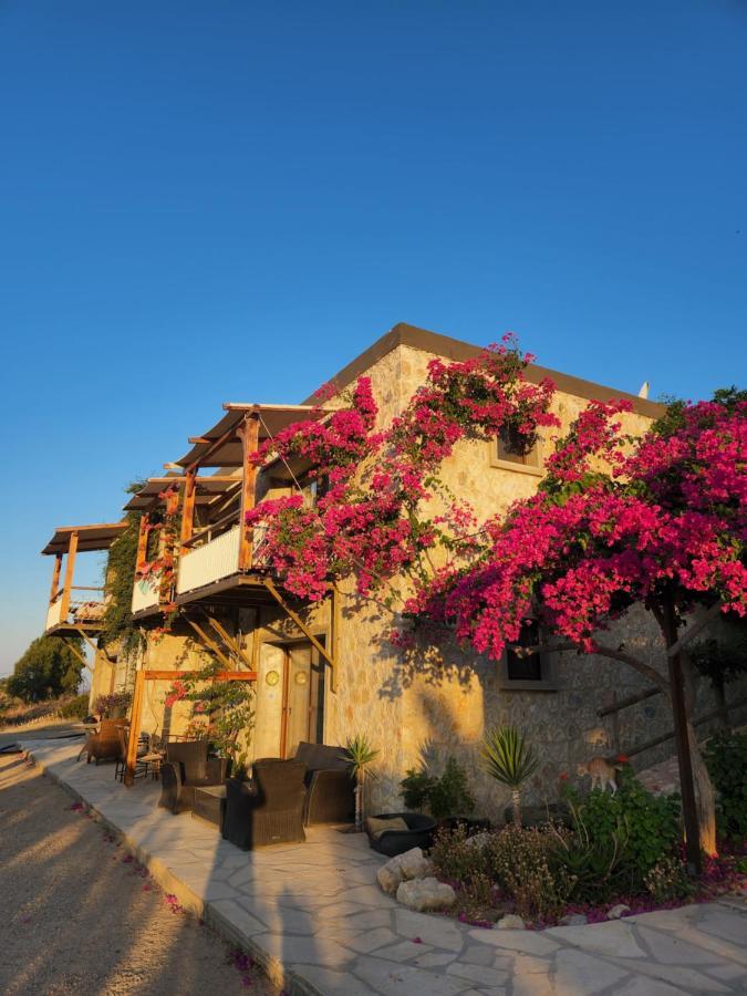 Eco Farm Boutique * Turgutreis