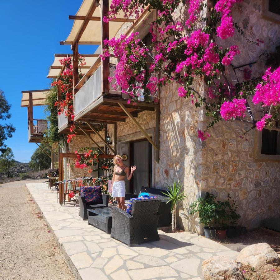 Farm stay Eco Farm Boutique Turgutreis