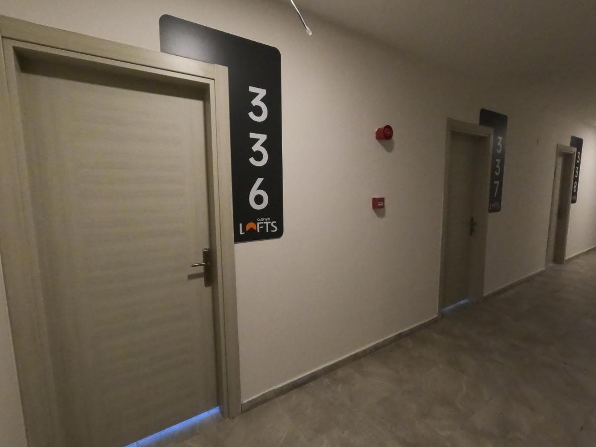 Lofts Luna Hotel