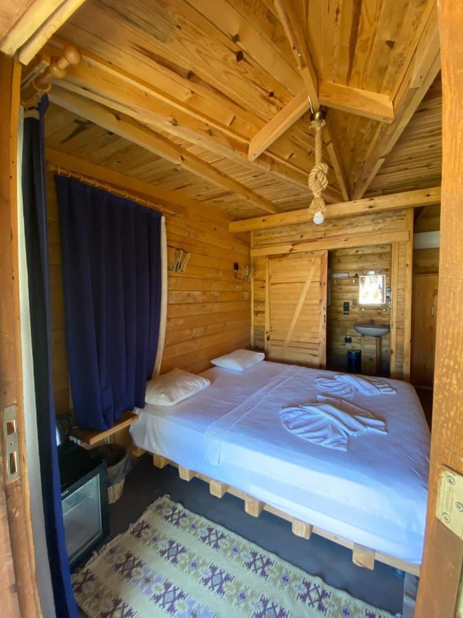 Hotel Pine & Luxury Concept