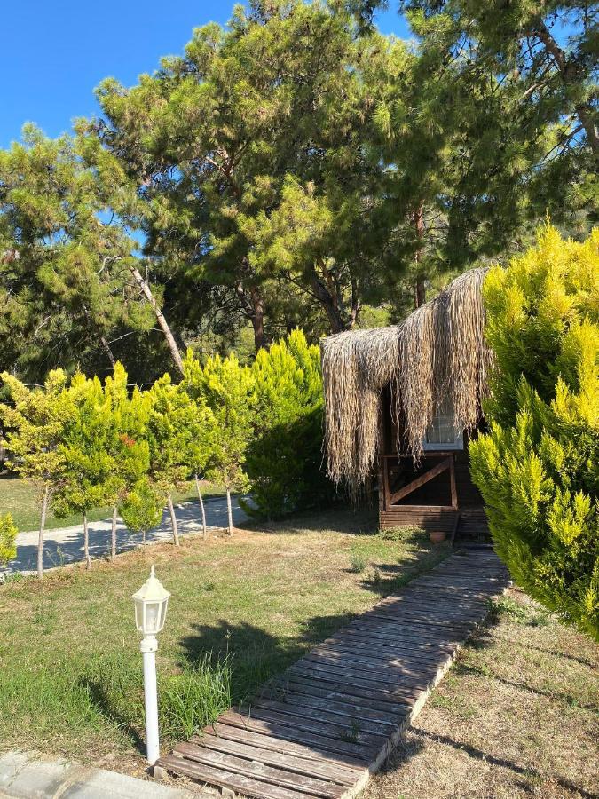 Hotel Pine & Luxury Concept Oludeniz