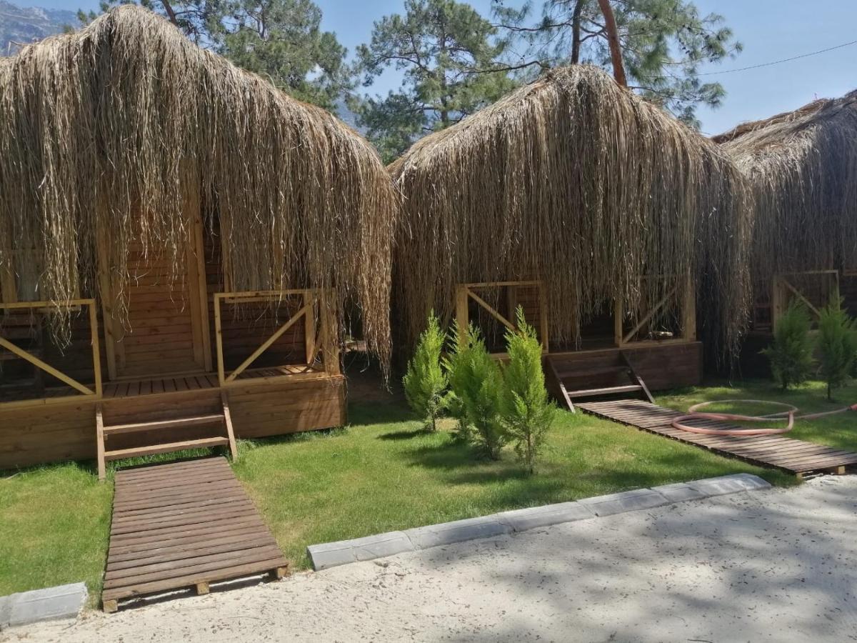 Pine & Luxury Concept Hotel