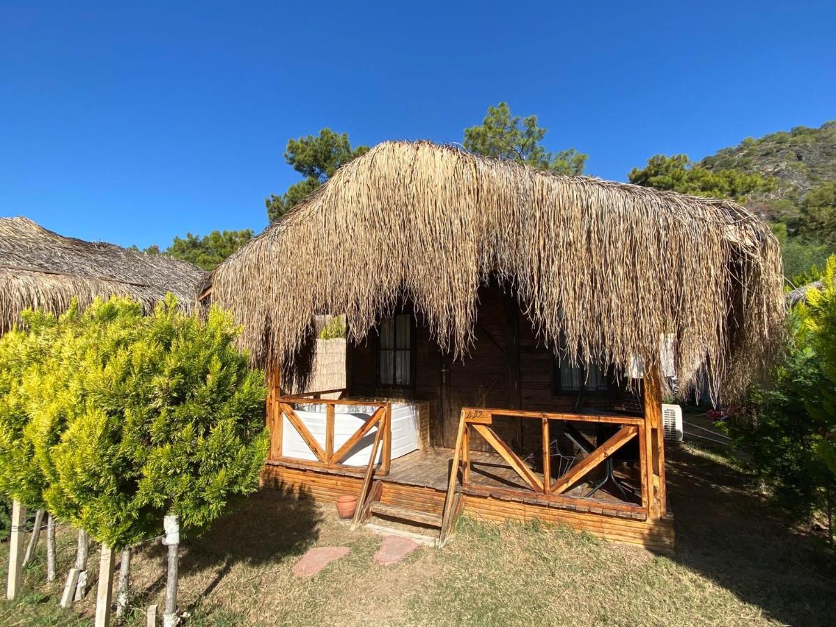 Pine & Luxury Concept Oludeniz
