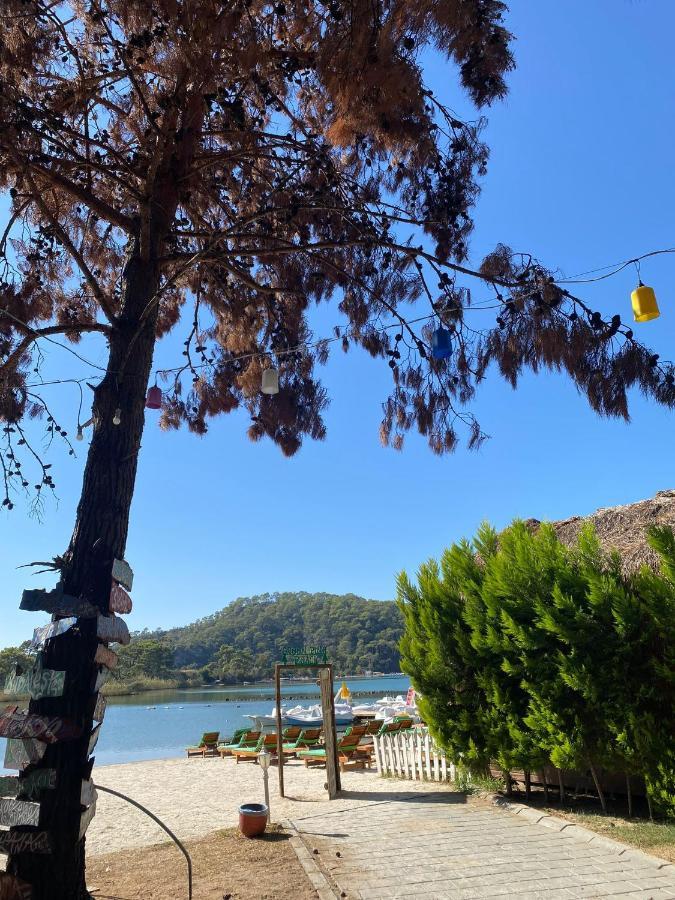 Pine & Luxury Concept * Oludeniz