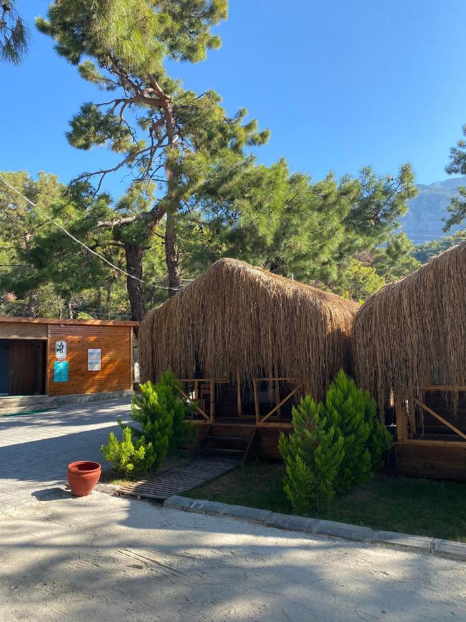 Pine & Luxury Concept Hotel *