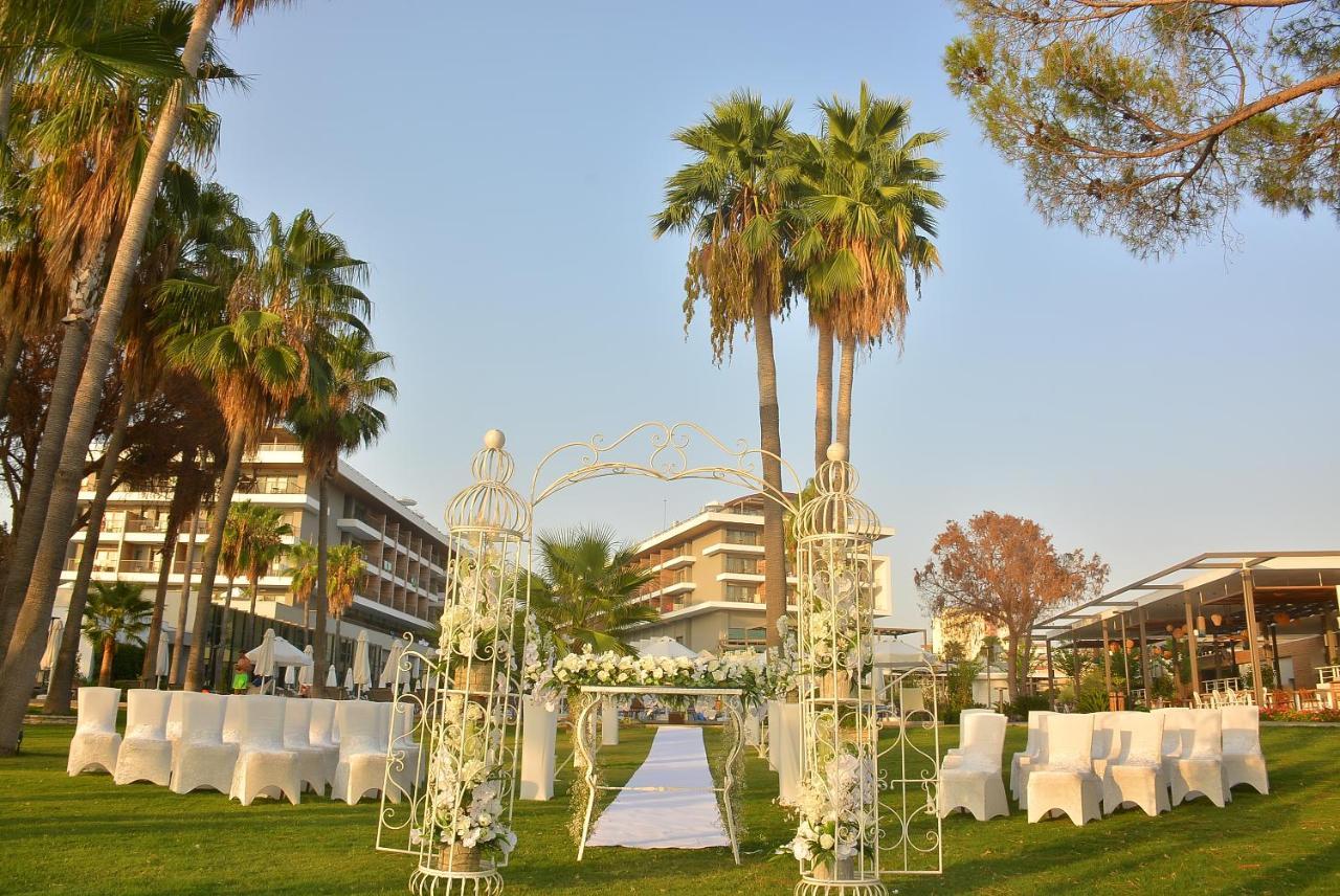 Acanthus Cennet Barut Collection