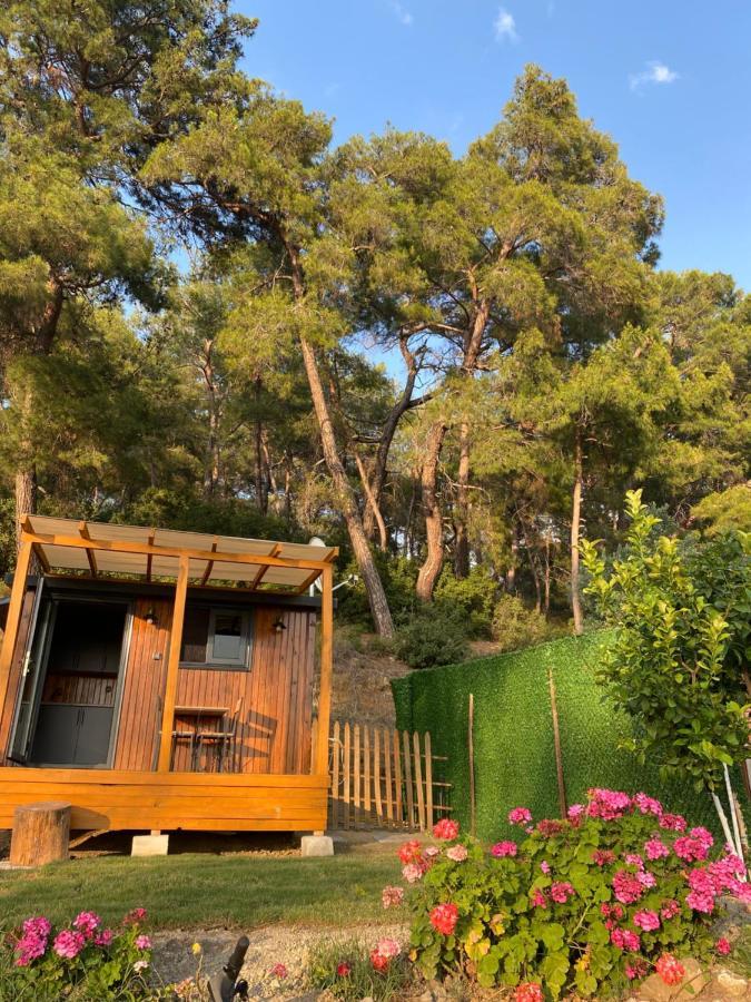 Campsite Tiny Mini House Dalaman